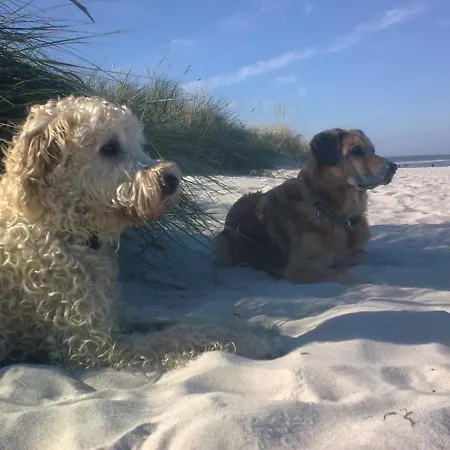 Unteres 110qm Appartement *